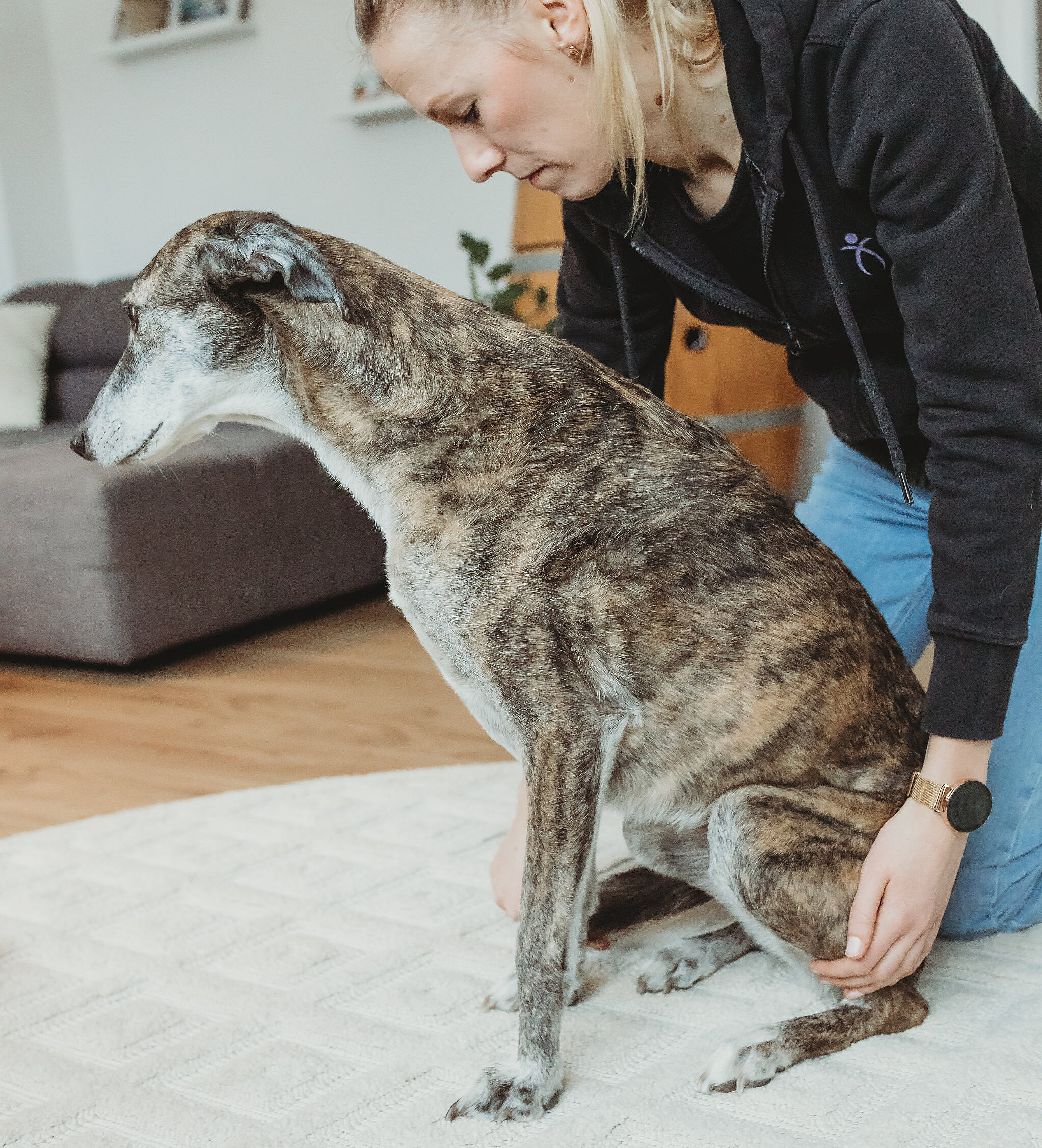 Untersuchung der Beine eines Hundes