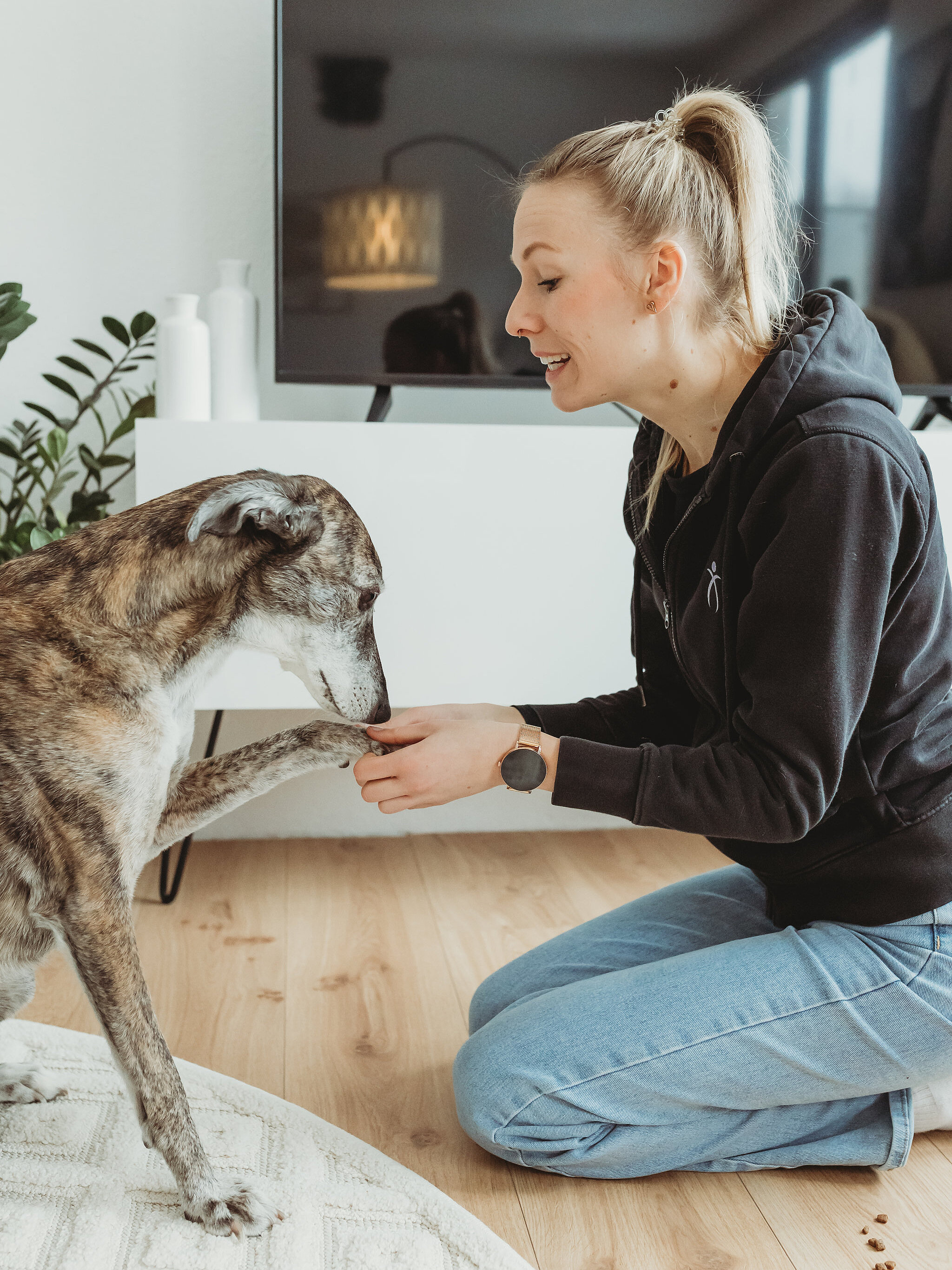 Untersuchung der Pfote eines Hundes