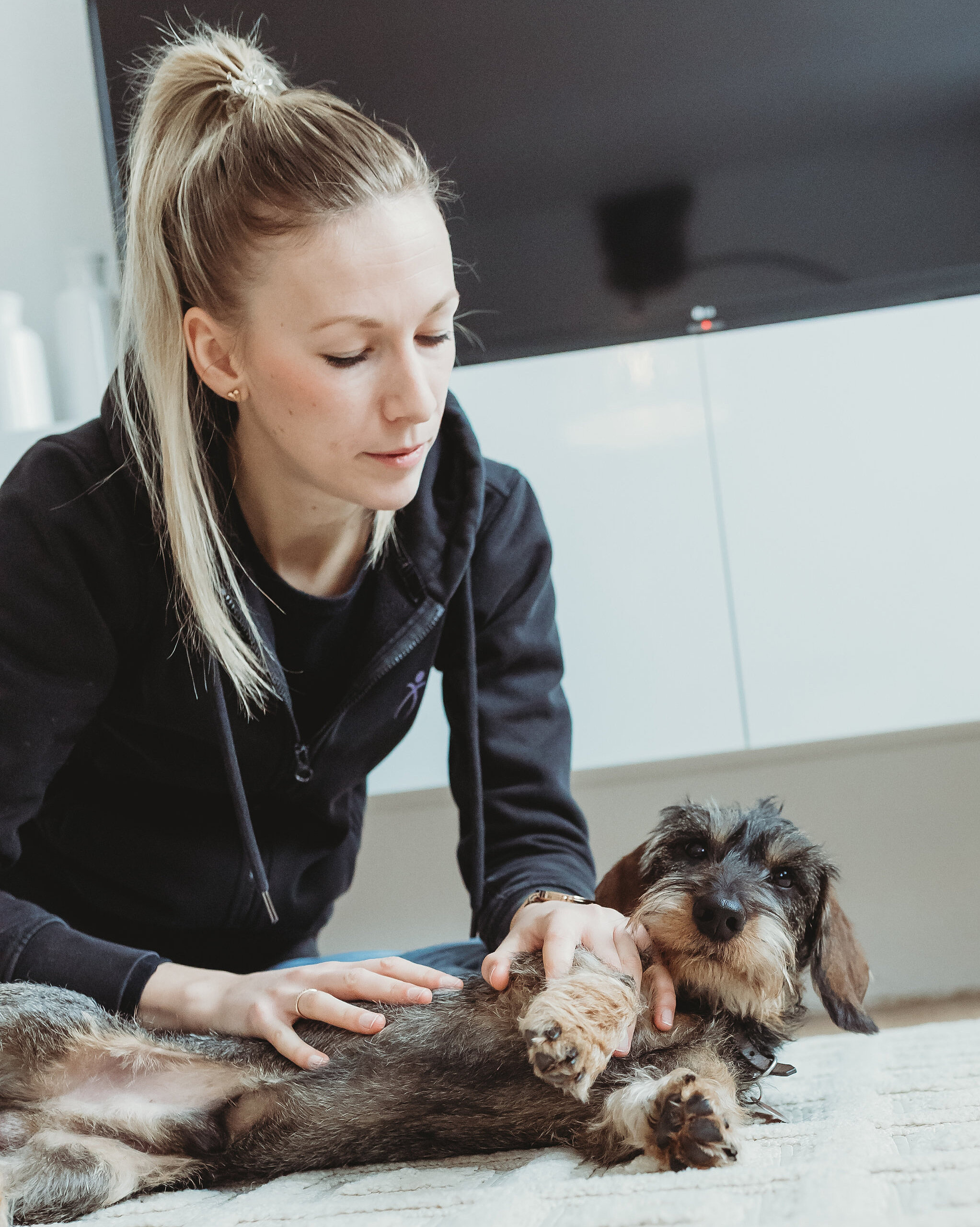 Behandlung eines Hundes im Rahmen einer mobilen Tierphysiotherapie