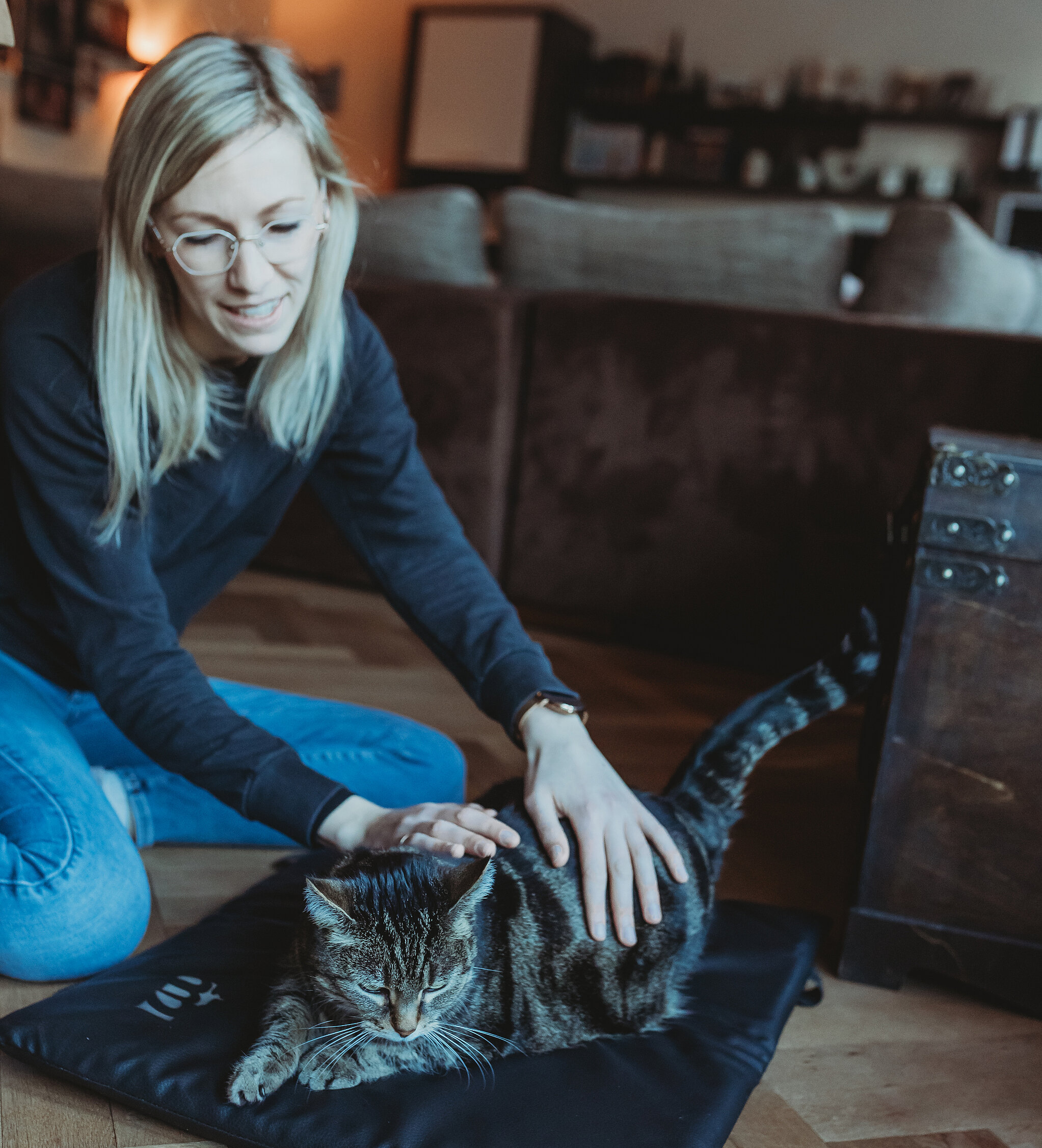Behandlung einer Katze im Rahmen einer mobilen Tierphysiotherapie