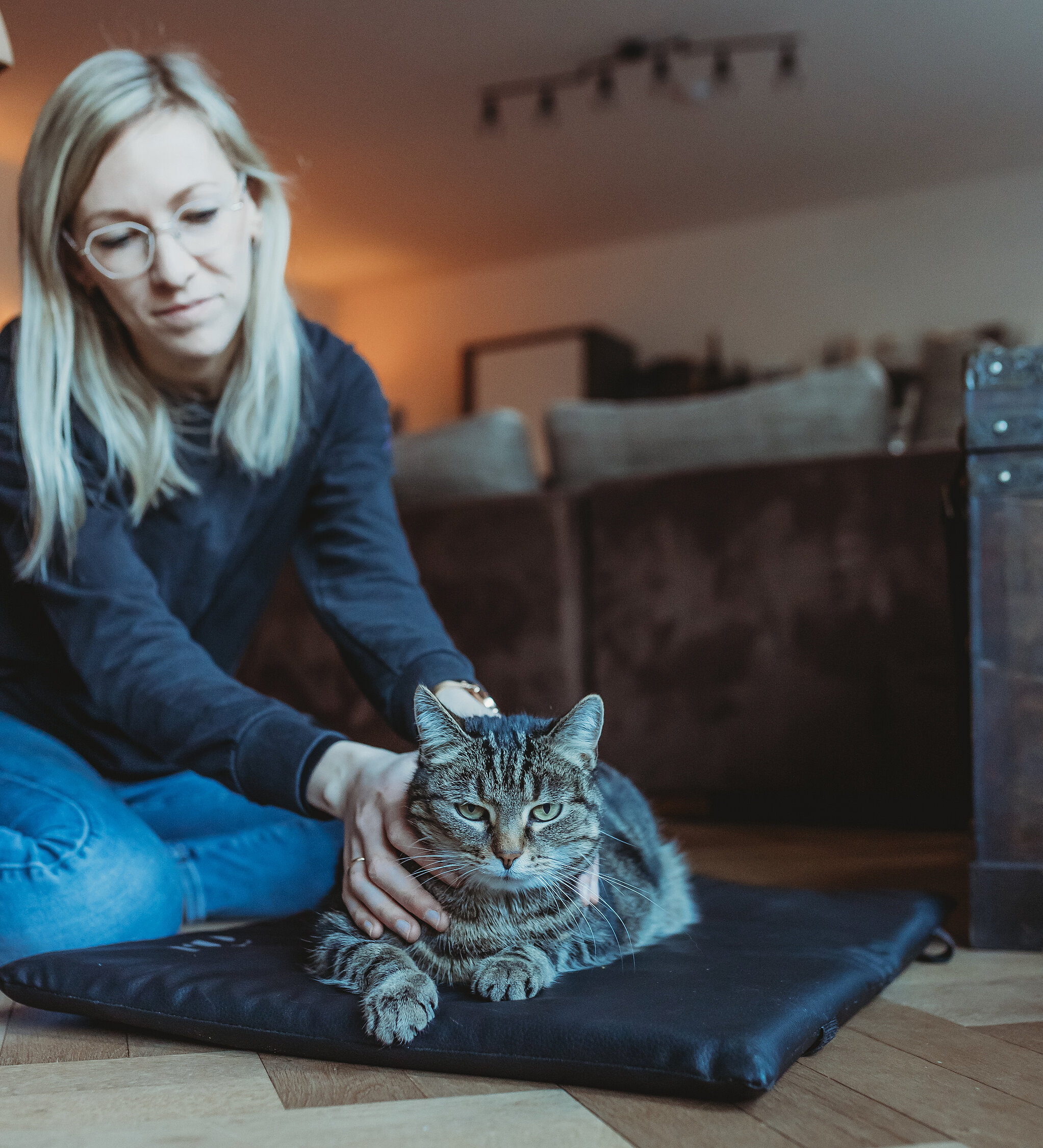 Untersuchung einer Katze im Rahmen einer mobilen Behandlung